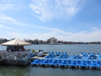 Paddleboats, with the Jefferson Memorial in the background.