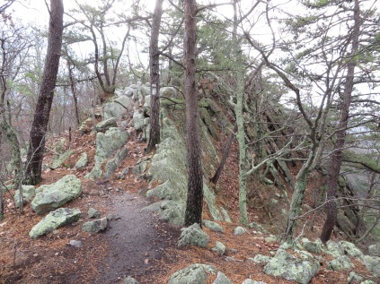 Ridgeline trail